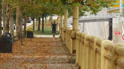 Man on bench using a mobile phone 動画素材 40050121