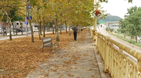 Man on bench using a mobile phone 動画素材 40050132