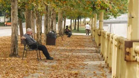 Man on bench using a mobile phone 動画素材 40050175