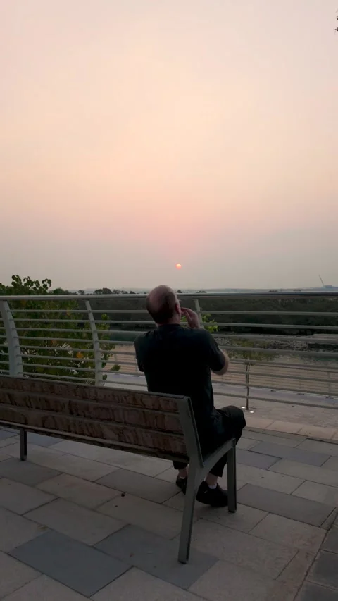 Man on Bench Watching Sunrise in Vertical Video - attacked buy insects Stock Footage 321341558