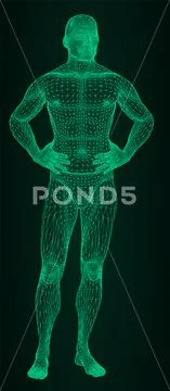 The man is bending his hands on his belt. The person of the athletic constitu Stock Illustration