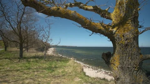 Man with bicycle approaching the sea cliff and admiring the view. POV shot Stock Footage 240874923
