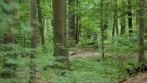 Man on bicycle comes closer in forest Video stock 77383870