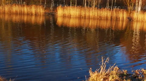 Man with a bicycle Stock Footage 68755046