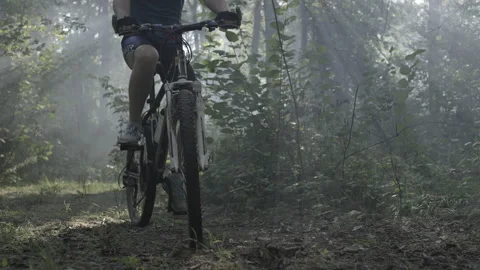 A man on a bicycle in the forest, close-up of the wheels, morning forest, Stock Footage 231249691