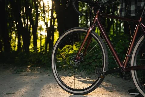 A man with a bicycle in the forest at sunset, close-up. Stock Photos