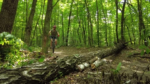 A man on a bicycle overcomes a fallen tree on his way Stock-Footage 203798873
