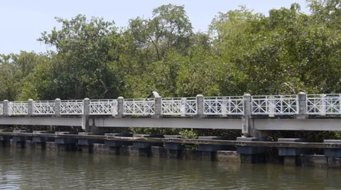 Man bicycle ringing riverside park riverwalk Stock Footage 27362763