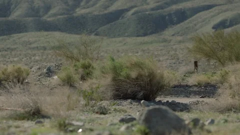 Man on a bike speeding by Stock Footage 106471793