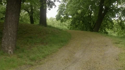 Man biking in a park Stock Footage 11340419