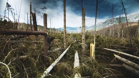 Man With Bio Face Mask Virus Natural Forest Disaster Stock Footage 126369691