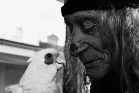 Man &amp; bird Stock Photos