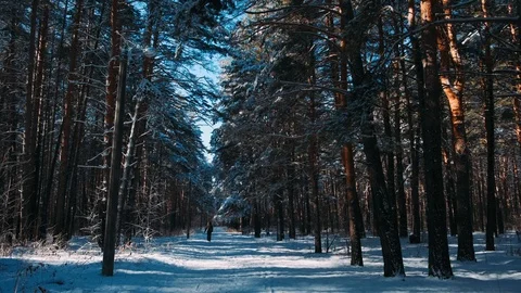 A man in black clothes is walking through the winter forest Stock Footage 126757539