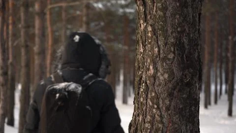 A man in a black down jacket walks through the forest in the winter Stock Photos