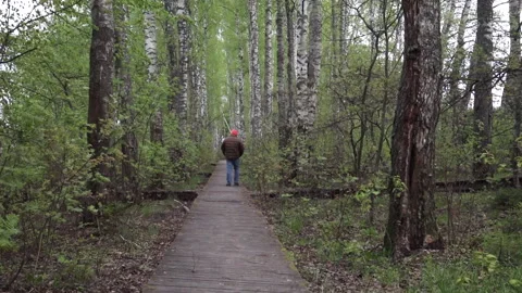 Man in a black jacket and orange hat walking along a birch alley in spring, back Video stock 274899296