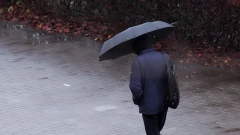 A man in a black jacket with an umbrella walks down the street in rainy autumn Stock Footage 291679914
