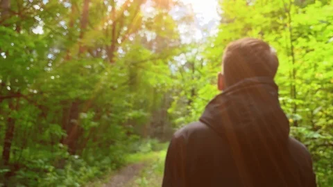 Man in a black jacket walking  in the woods on a sunny day. Footages UHD 4K 60FP Stock-Footage 113277785