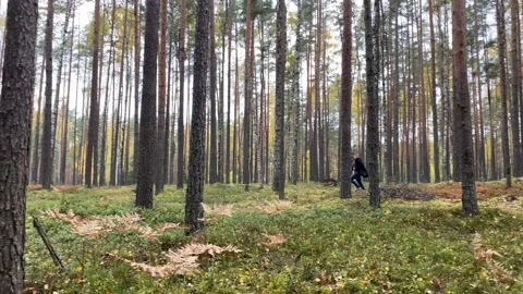 Man in black is running through the forest. Person running away Stock Footage 220807145