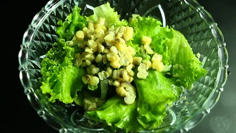 Man blending  vegetables to make salad, close up in studio Chiangmai Thailand Stock Footage 104757582