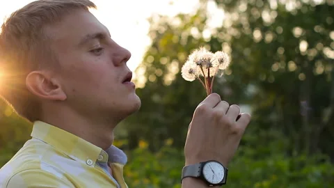 Man Blowing on a Dandelion Stock Footage 92937074