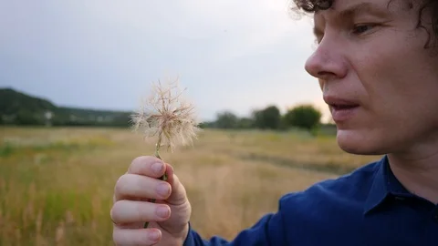 Man Blowing on a Dandelion Stock Footage 95045981