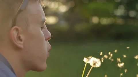 Man Blowing on a Dandelion Video stock 101683718