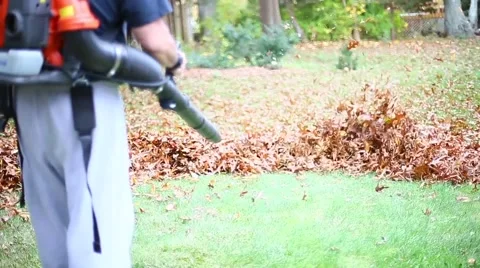 MAN BLOWING LEAVES 1 Stock Footage 58254812