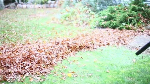 MAN BLOWING LEAVES 3 Stock Footage 58254810