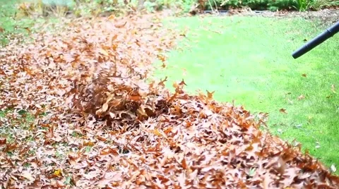 MAN BLOWING LEAVES 4 Stock Footage 58254817