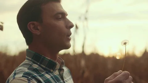 Man Blows Dandelion During Sunset Stock Footage 81563576