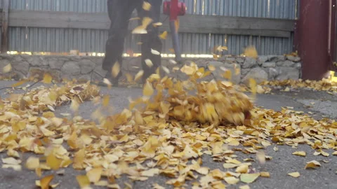 A man blows off fallen leaves in the yard with a blower. Russian yard Stock Footage 141459749