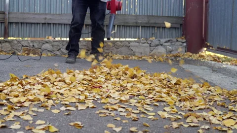 A man blows off fallen leaves in the yard with a blower. Russian yard Stock Footage 141461125