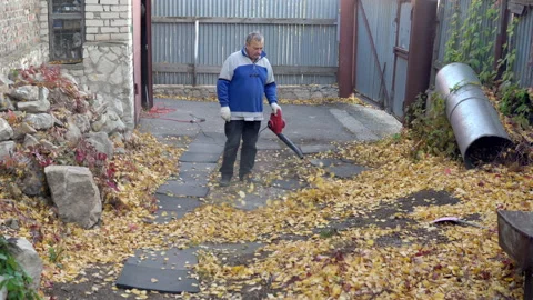 A man blows off fallen leaves in the yard with a blower. Russian yard Stock Footage 141461308
