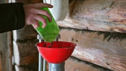 A man blows nuts from small debris using DIY device to extract cedar nuts from Stock Footage 177371167