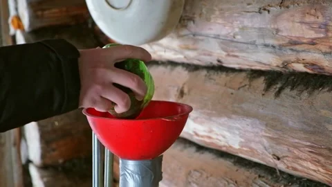 A man blows nuts from small debris using DIY device to extract cedar nuts from Stock Footage 183082089