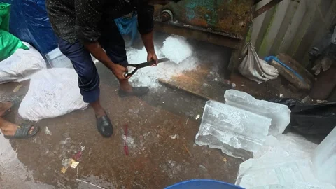 A Man Blue Basket Filled with Ice for Chilling Fresh Fish at Kawran Bazar Stock-Footage 343154763