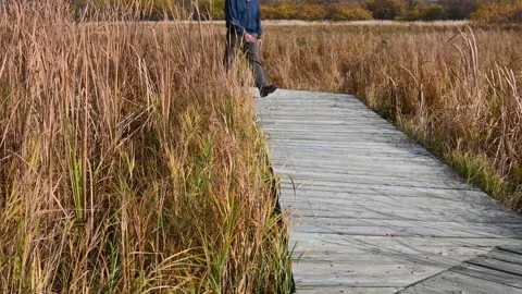 Man, with a blue coat walking towards camera along a wooden boardwalk Stock Footage 140912375