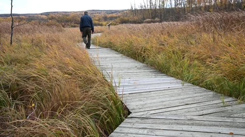 Man, with a blue coat walks down a weathered wooden walkway  Stock Footage 140912705