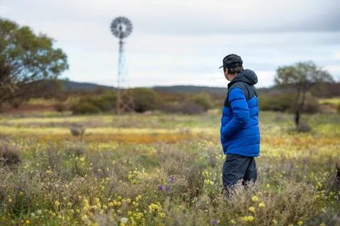 Man with blue jacket and hat in wildflowers looking at windmill enjoying nature Stock Photos