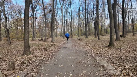 Man in blue jacket running in autumn forest, increases speed and runs out of Stock Footage 316838898