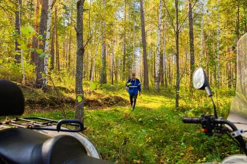 A man in a blue jacket strolls through a lush green forest Stock Photos