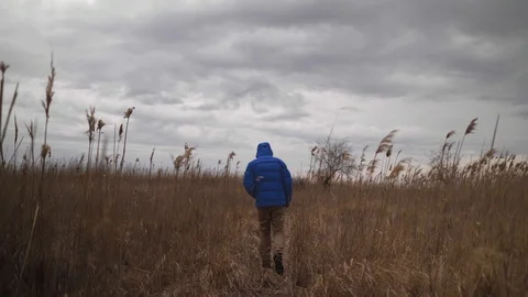 Man in blue jacket walking through yellow dry grass field Stock Footage 107084466