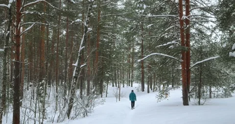 A man in a blue jacket walks through a winter forest with his dog Stock Footage 267594751