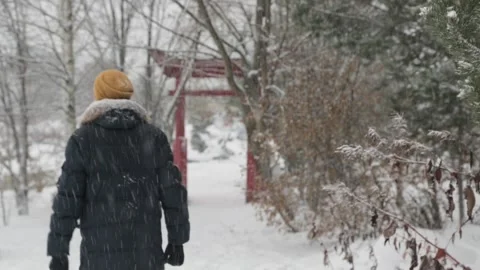 A man-in-blue-jacket-in-winter Stock Footage