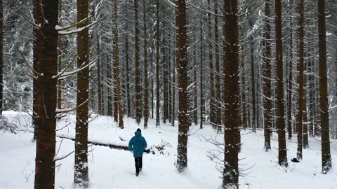 Man with blue jacket in the winter mountain forest among the huge pine trees. Stock Footage 150600076