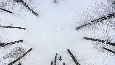 Man with blue jacket in the winter mountain forest among the huge pine trees. Stock Footage 150600258