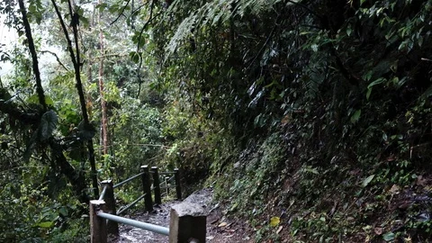 Man in blue raincoat walking throw jungle forest in Mindo, Ecuador Video stock 128156551