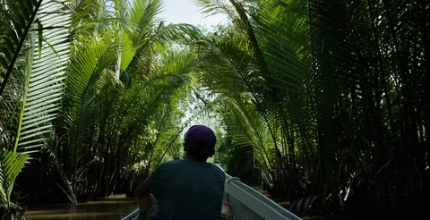 Man in a boat sailing through a canopy in the tropical marsh land Video stock 85759776