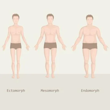 Man body types Stock Illustration