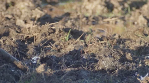 A man in boots with difficulty pulls a shovel in the mud, out of a swamp Vídeos de archivo 167365346
